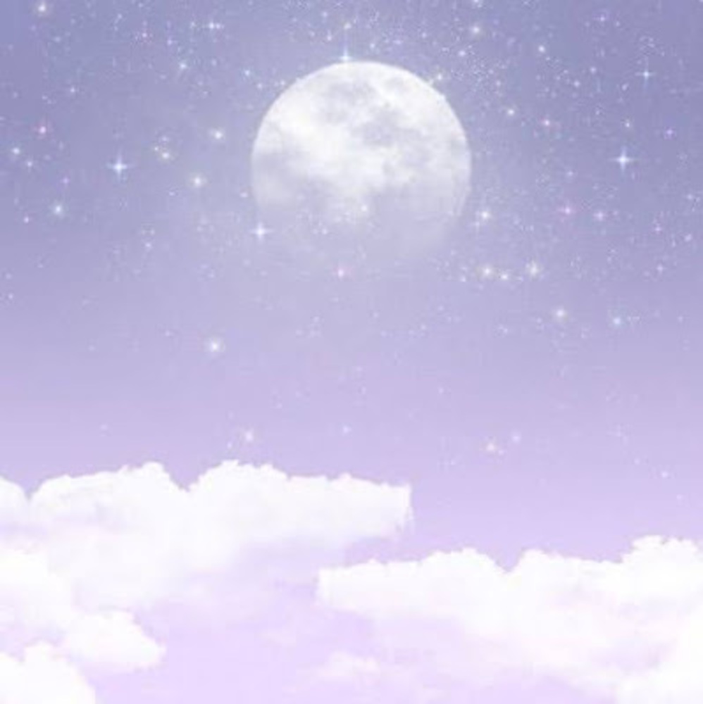 Meet your Posher, Ryn